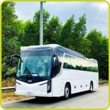  Thuê xe 45 chỗ KIA Granbird 