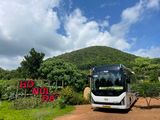  Thuê xe 29 chỗ Universe 