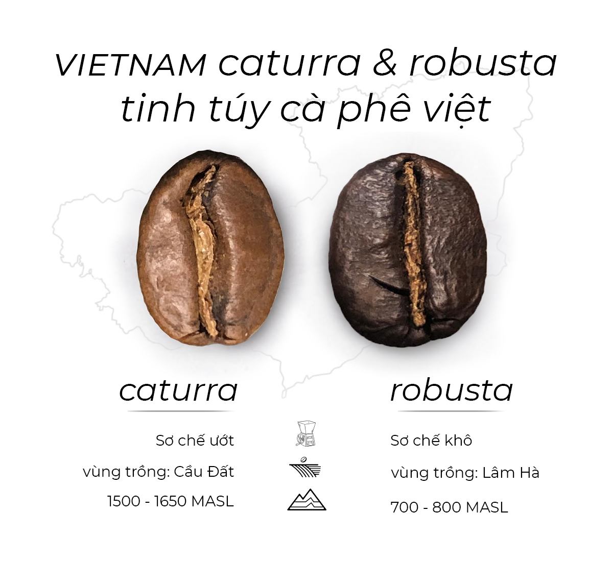  Cà Phê Định Kỳ Nguyên Chất Pha Phin - Black'n Brown Rang Rang Coffee 200g 