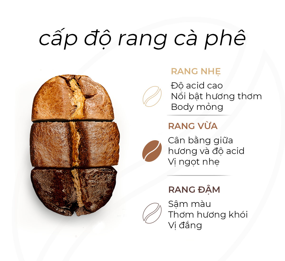  Cà Phê Định Kỳ Nguyên Chất Pha Espresso - Bean'n Cream Rang Rang Coffee 200g 