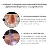  Tinh chất vi gai One Day Exosome Shot 2000 - 30ml 