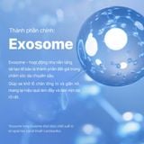  Tinh chất vi gai One Day Exosome Shot 2000 - 30ml 