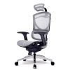 Ghế Công Thái Học GTChair Isee M Bản Lưới - Màu Xám