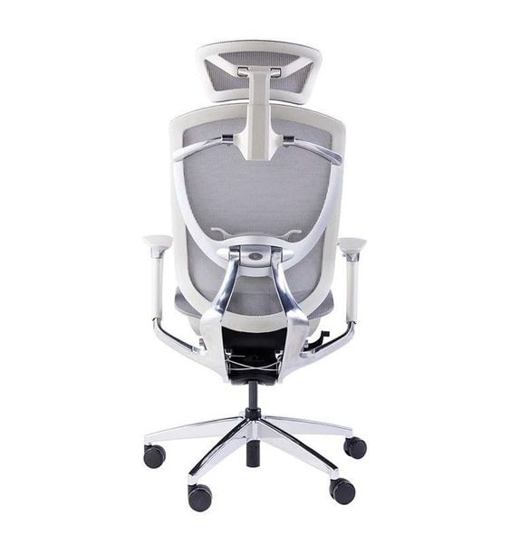 Ghế Công Thái Học GTChair Ifit Smile Bản Lưới - Màu Xám