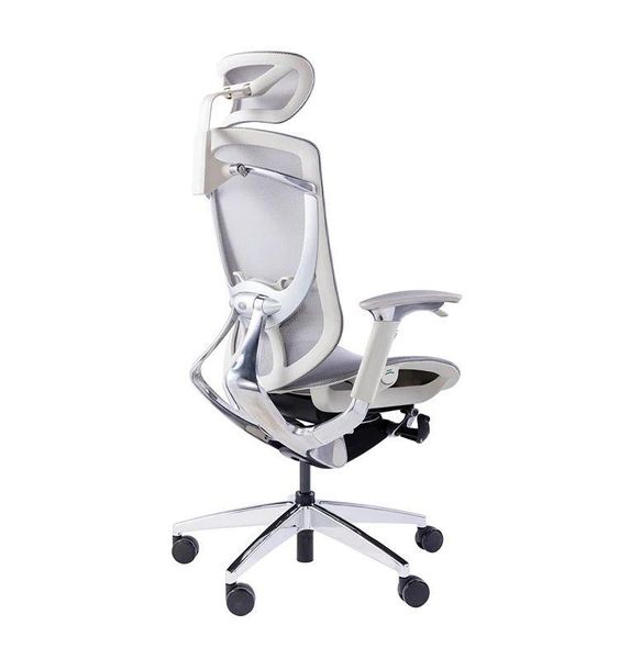 Ghế Công Thái Học GTChair Ifit Smile Bản Lưới - Màu Xám