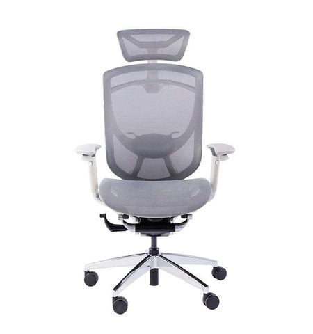 Ghế Công Thái Học GTChair Ifit Smile Bản Lưới - Màu Xám