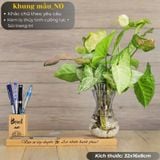  Kệ Bút kèm bình thủy tinh Mẫu NO7 
