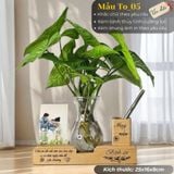  Bình hoa to decor cửa hàng, văn phòng, bàn làm việc 