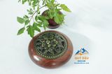  Lư xông Trầm tròn 
