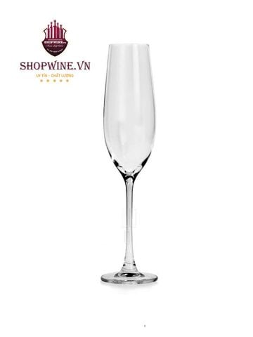  Ly uống rượu Champagne nhập khẩu Tiệp 