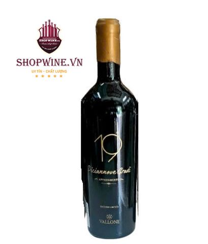  Rượu vang 19 Diciannove Gradi Appassimento Puglia IGT 