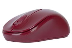 Chuột Targus W600 Wireless Optical Mouse - Chính Hãng