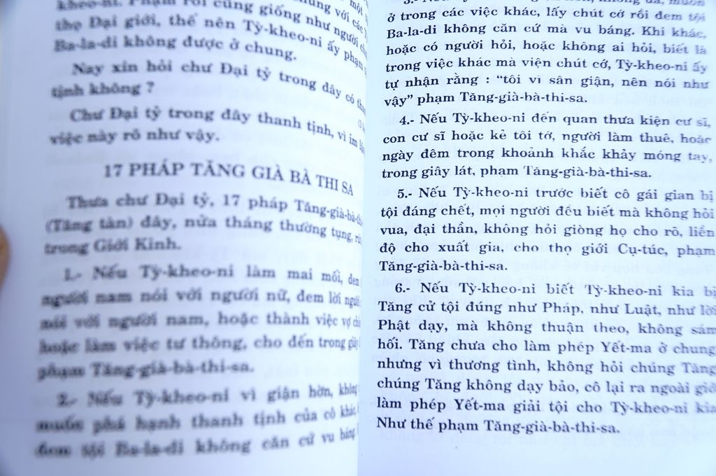 Sách Phật giáo - Luật tỳ kheo ni giới bổn - Thích Thiện Chơn - Bìa giấy cam 101 trang