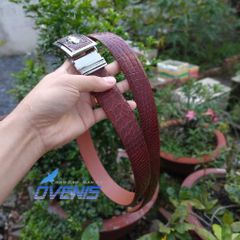 Thắt Lưng Da Cá Sấu Thật 100%. Da Bông Hông Rất Mềm Và Bền