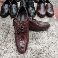 Giày đà điểu. Giày tây có buộc dây đẹp Sang trọng!