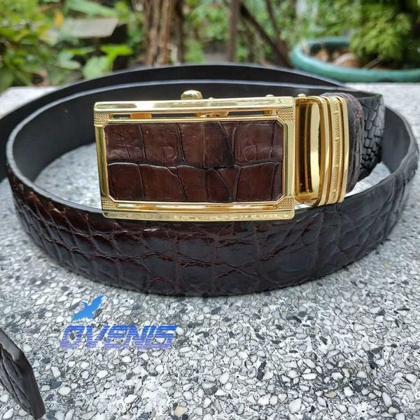 Thắt Lưng Da Cá Sấu Thật TS116
