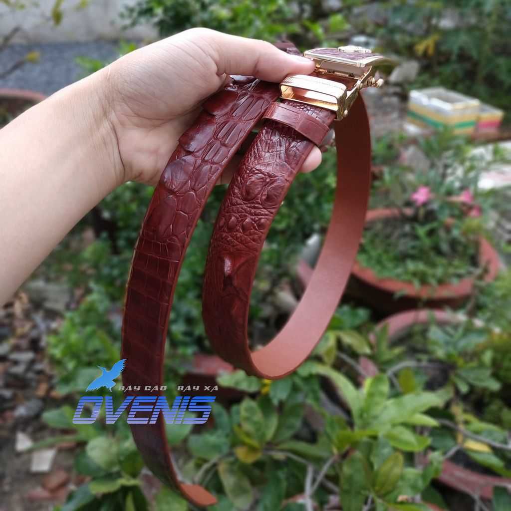 Thắt Lưng Da Cá Sấu. Gù Cá Sấu Đẹp Sang Chảnh