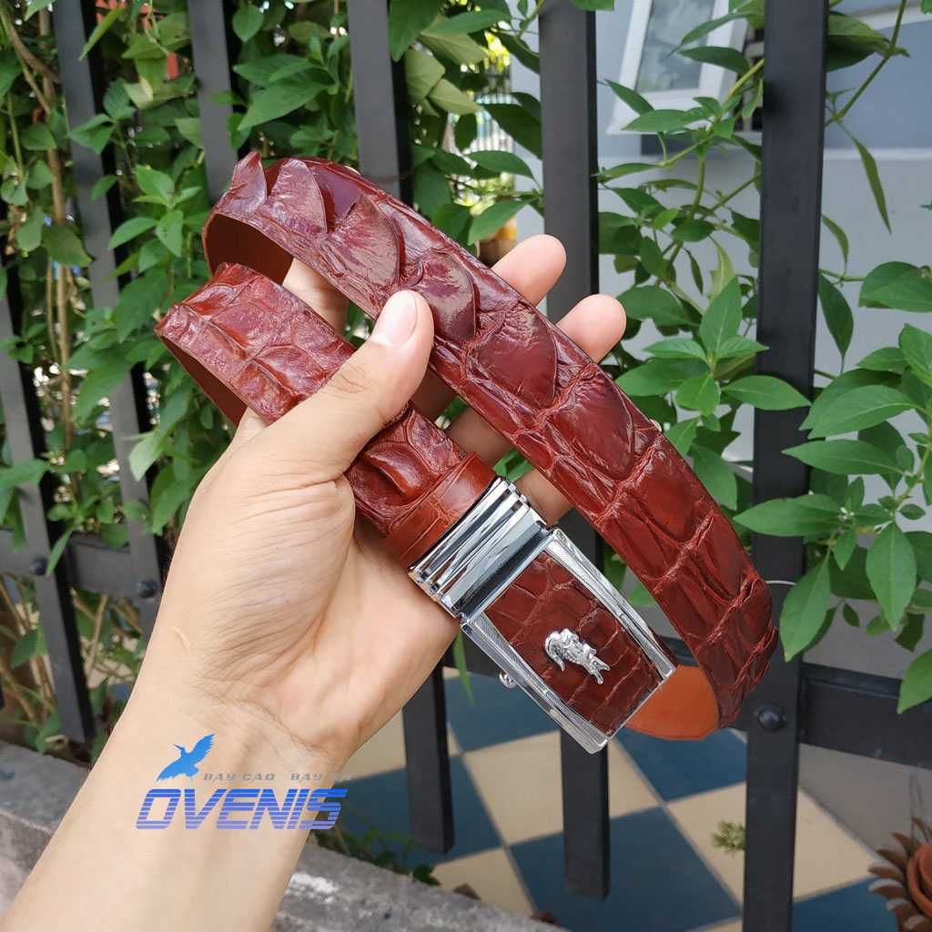 Thắt Lưng Da Cá Sấu Liền Nguyên Con N30ND