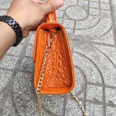 Túi nữ đi tiệc đi chơi bao sang. Da bụng cá sấu vàng bò!