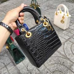 Túi cá sấu size 20cm rất vừa cho Nữ. Thiết kế mới rất đẹp!
