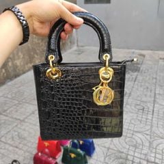 Túi cá sấu size 20cm rất vừa cho Nữ. Thiết kế mới rất đẹp!
