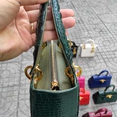 Túi nữ da cá sấu Thiết kế mới rất đẹp. Size 20 vừa vặn!