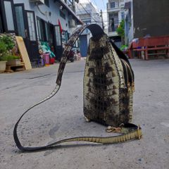 Túi đeo chéo da cá sấu NGUYÊN THỦY đẹp ĐÚNG CHẤT!