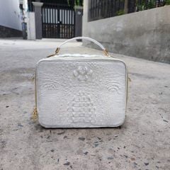 Cặp nam cá sấu bạch tạng PHIÊN BẢN HÌNH HỘP nam tính. Size tầm trung dễ dùng!