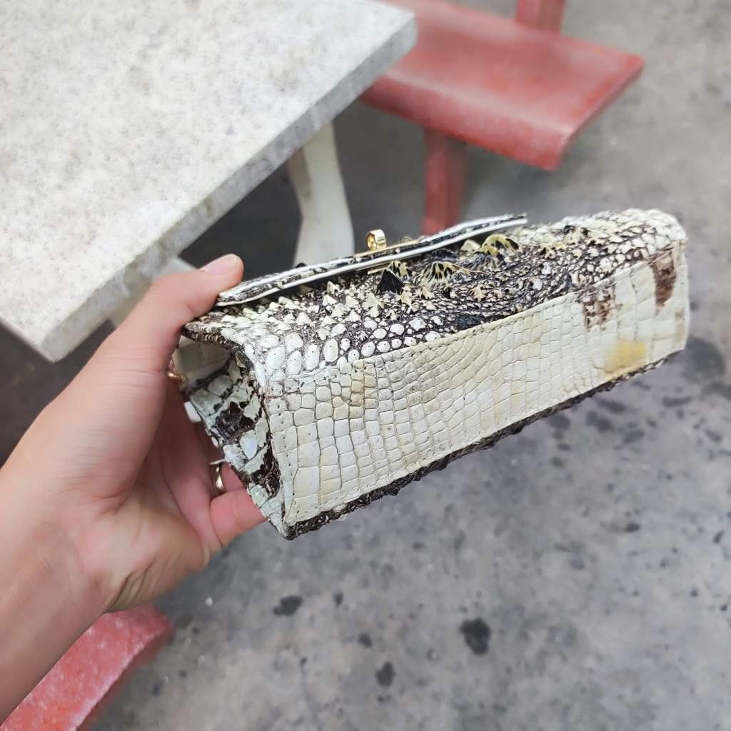 Túi nữ mini có dây đeo rất đáng yêu. DA CÁ SẤU NGUYÊN THỦY!