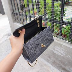 Túi nữ Da cá sấu xám tro siêu dễ thương. Dây đeo kim loại sang chảnh!