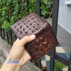 Siêu Phẩm Gù Cá Sấu Nguyên Con Dáng Đứng 2 Mặt VS21DN