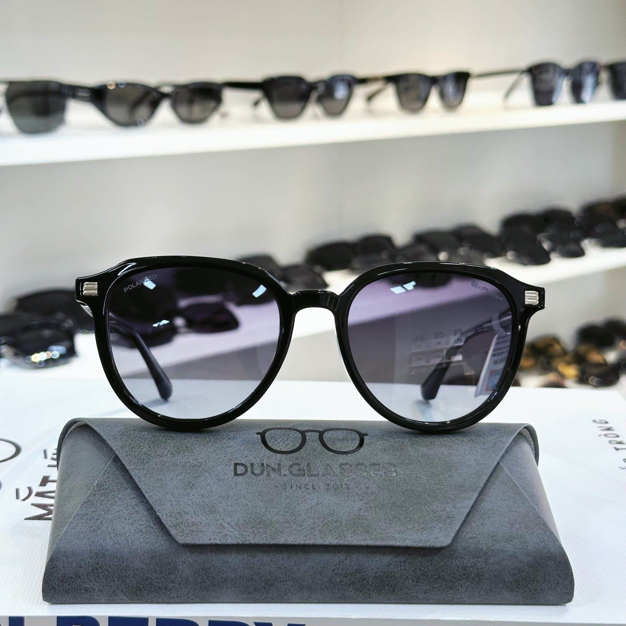  Kính mát Exfash EF258006 