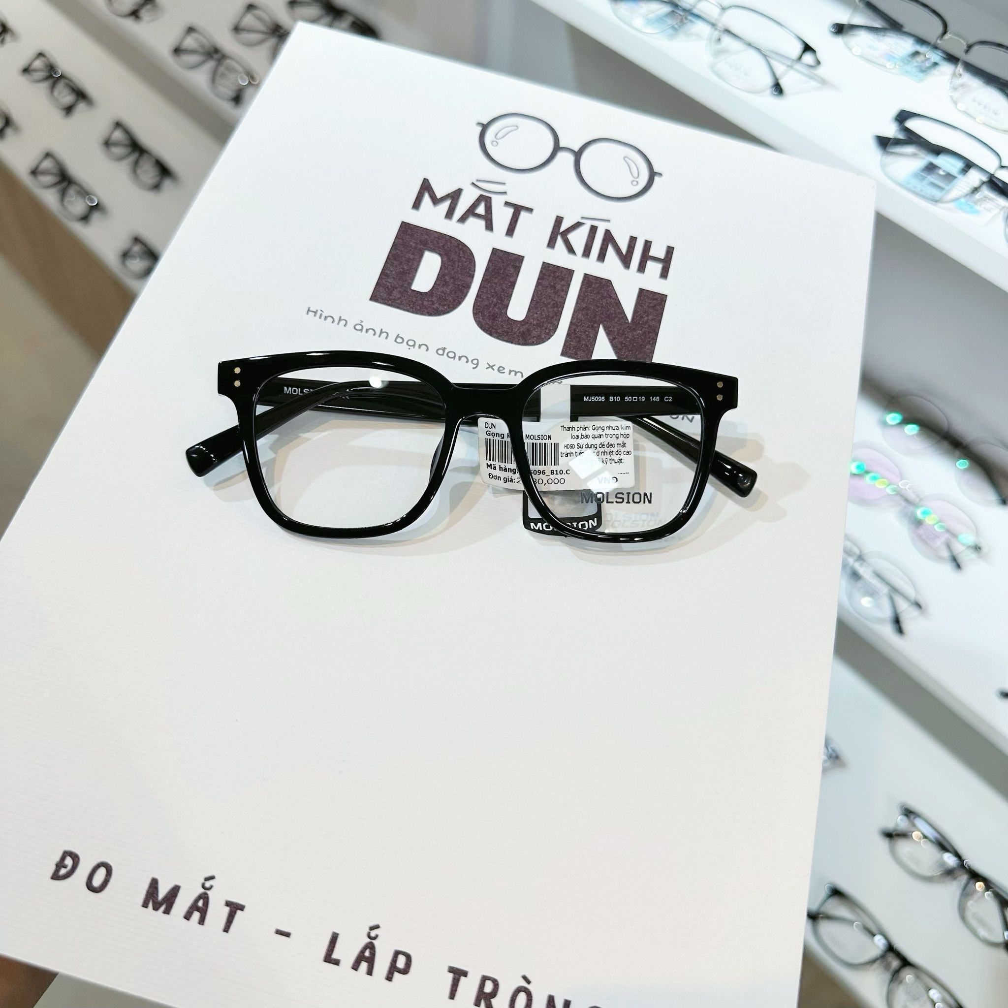  Mắt kính Molsion MJ 5096 