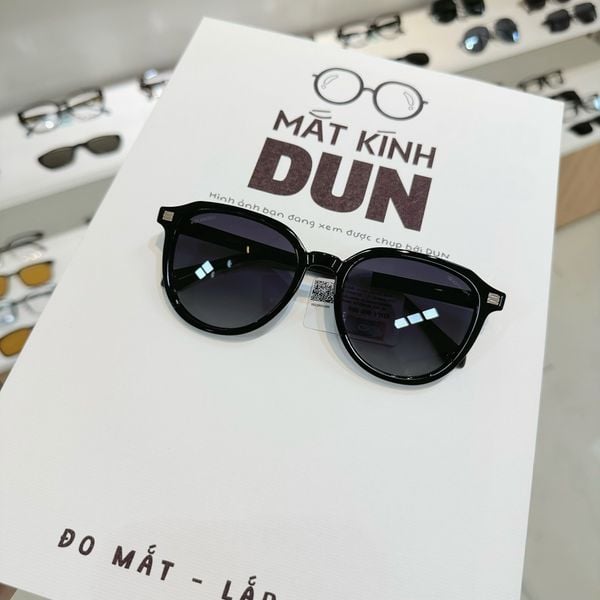  Kính mát Exfash EF258006 