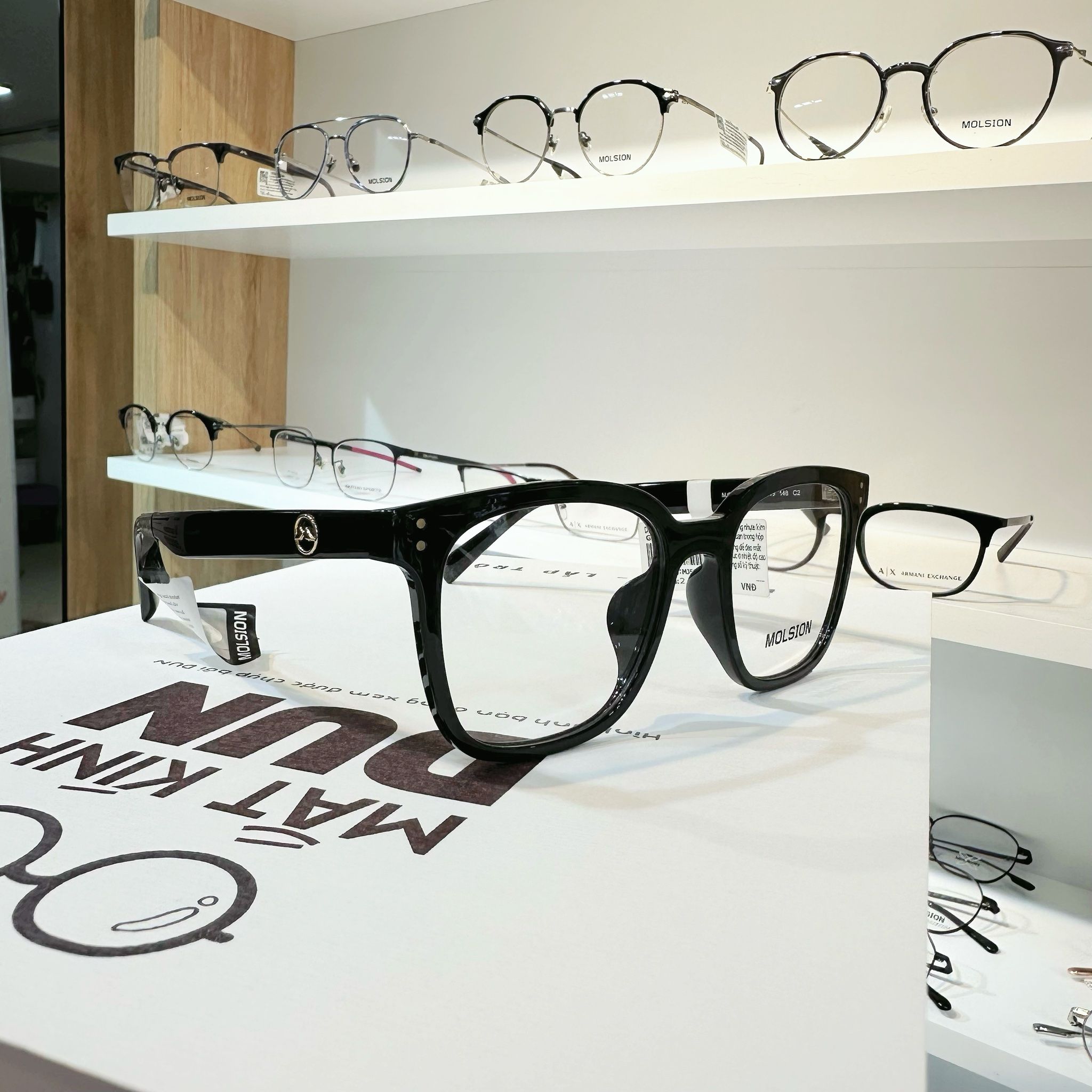  Mắt kính Molsion MJ 5096 