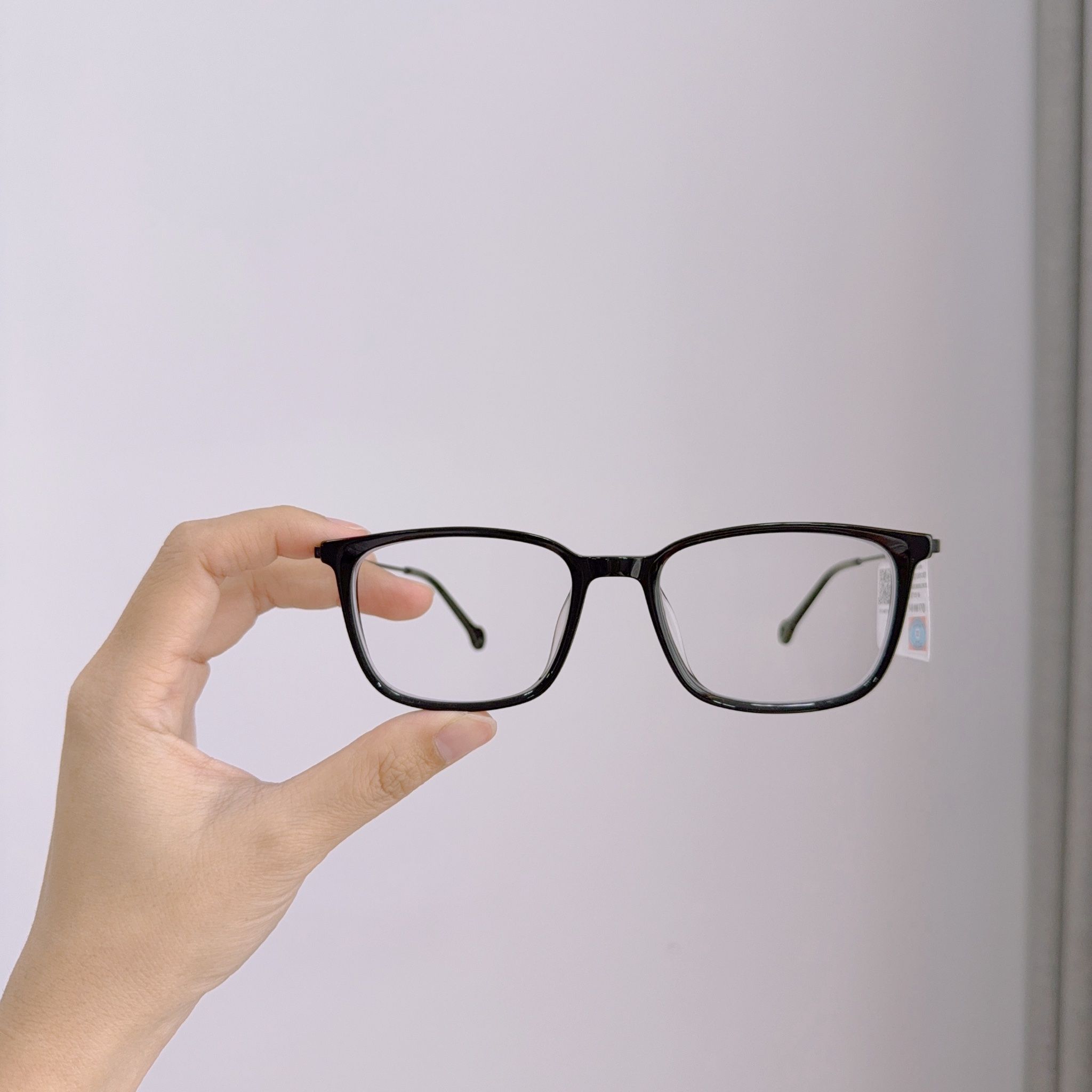  Mắt kính Exfash EF71553_026 