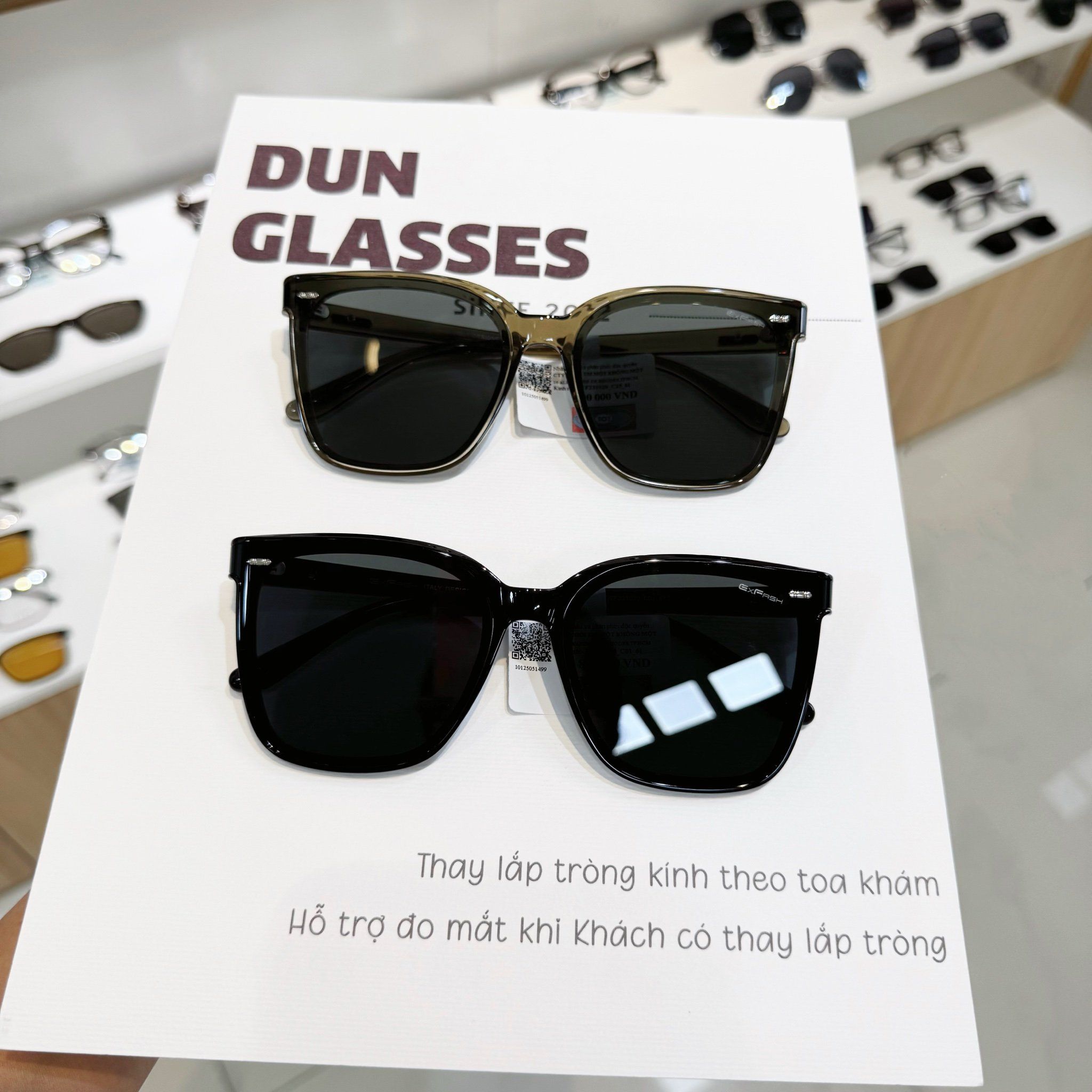  Kính mát Exfash EF231020 