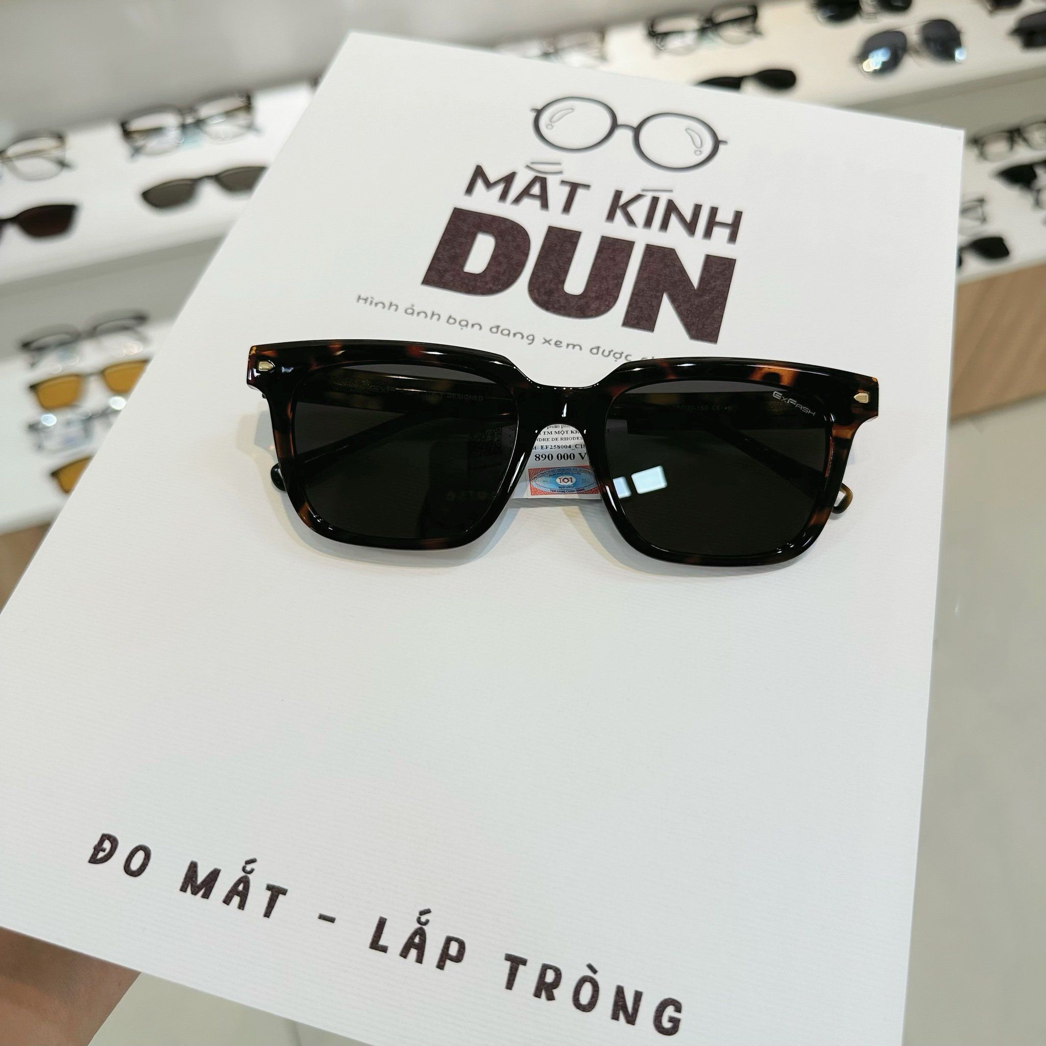  Kính mát Exfash EF 258004 