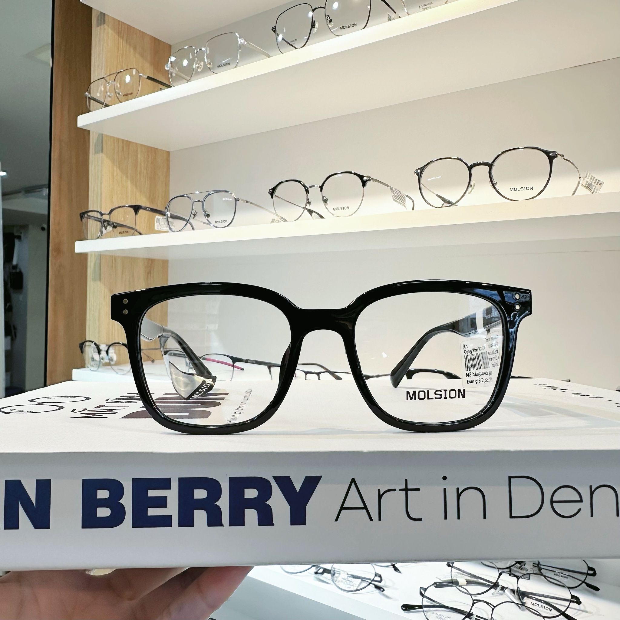 Mắt kính Molsion MJ 5096 