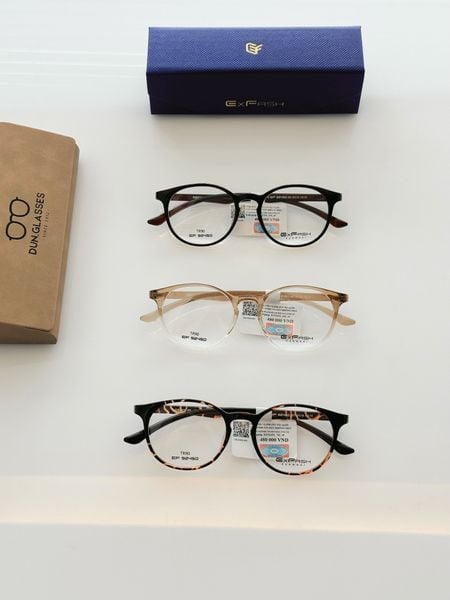  Mắt kính Exfash EF92450 
