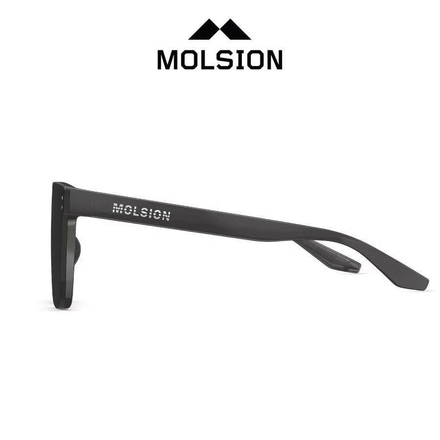  Kính mát Molsion MS5061 