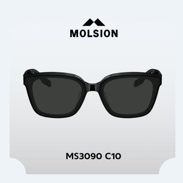  Kính mát Molsion MS3090 