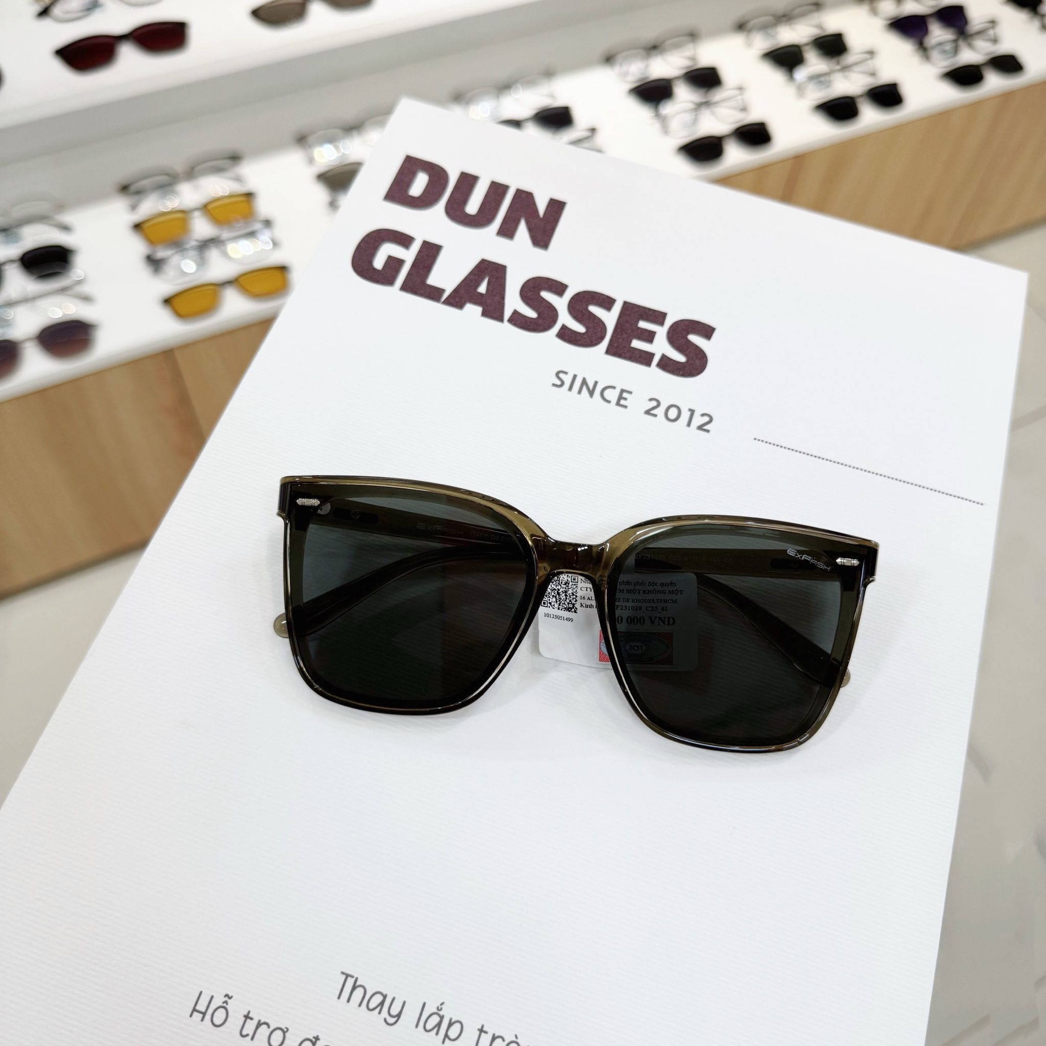  Kính mát Exfash EF231020 
