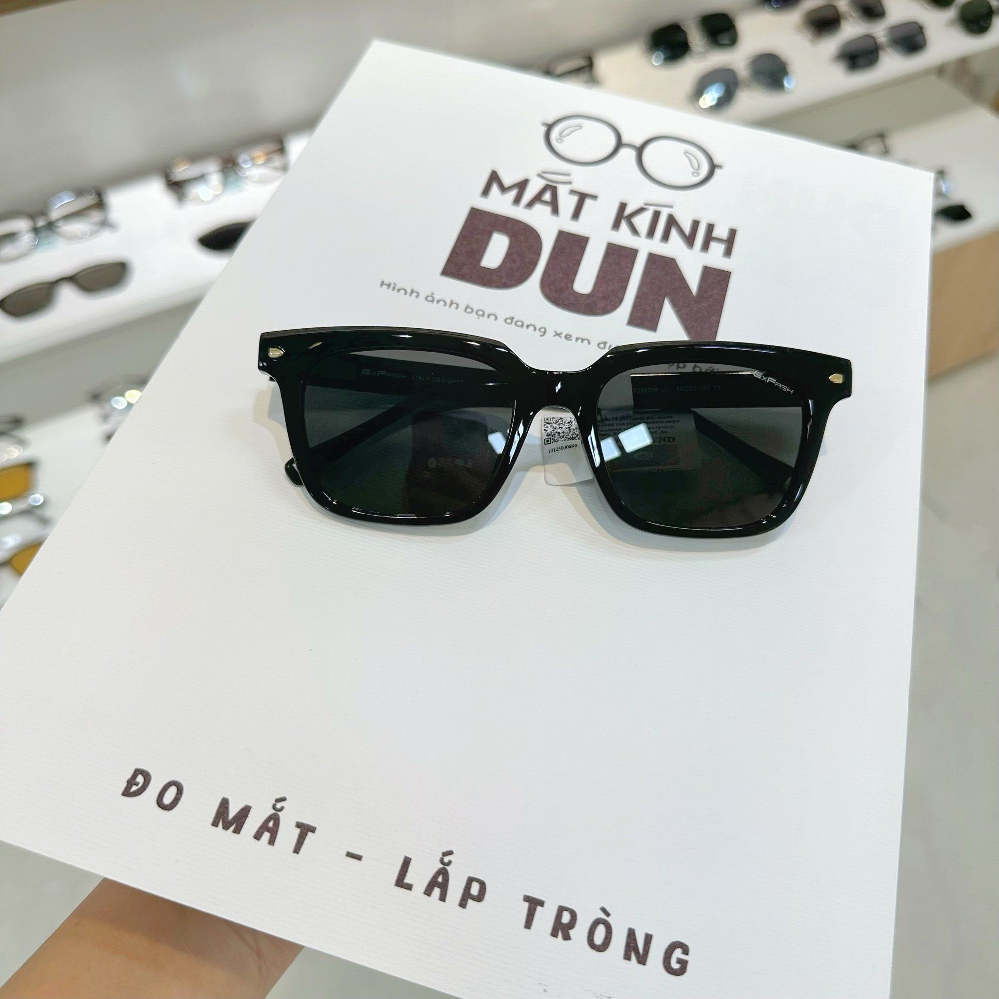  Kính mát Exfash EF 258004 
