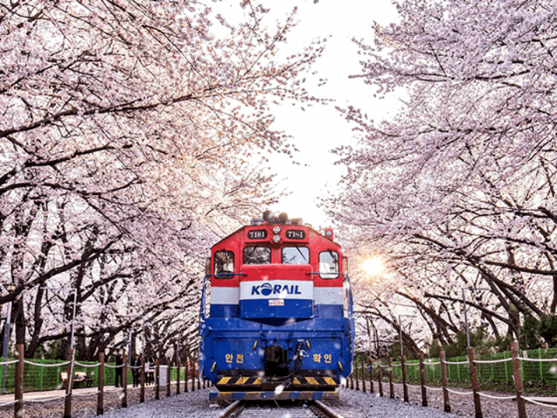 HÀN QUỐC | SEOUL- NAMI -  EVERLAND