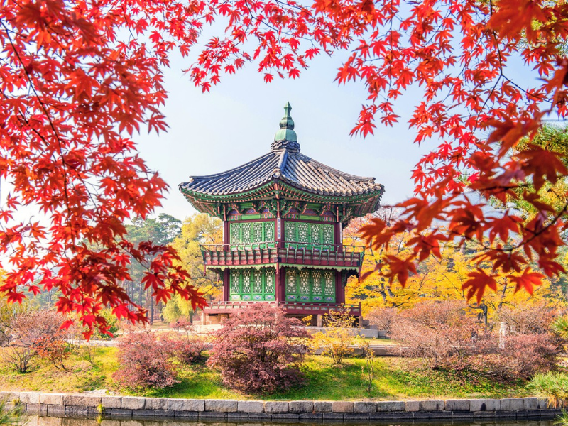 HÀN QUỐC | SEOUL-NAMI ISLAND-  EVERLAND