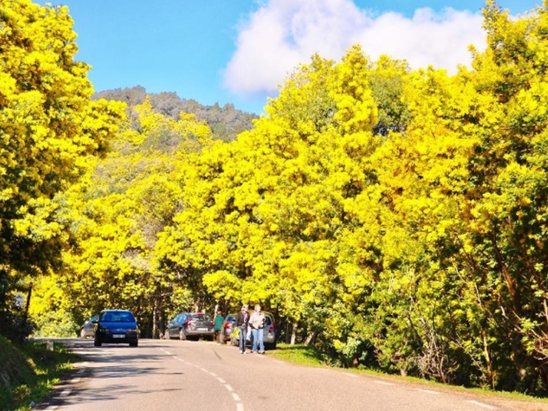 ĐÀ LẠT 3 NGÀY 2 ĐÊM