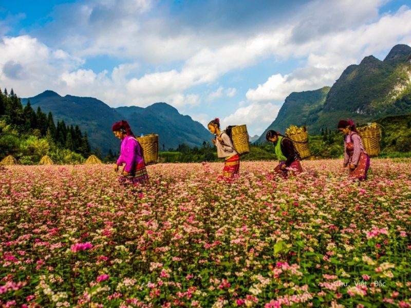 HÀ GIANG - THÁC BẢN GIỐC - HỒ BA BỂ 5N4Đ