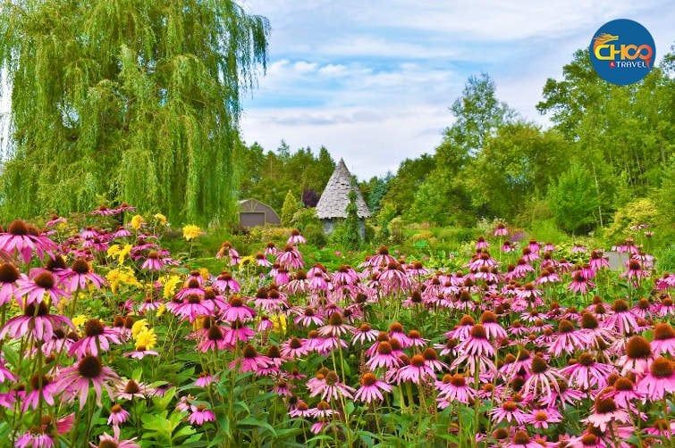 KHÁM PHÁ HOKKAIDO NHẬT BẢN 30/04 (Japan Airlines)