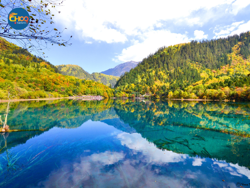 THÀNH ĐÔ - CỬU TRẠI CÂU - LẠC SƠN ĐẠI PHẬT - CV GẤU TRÚC